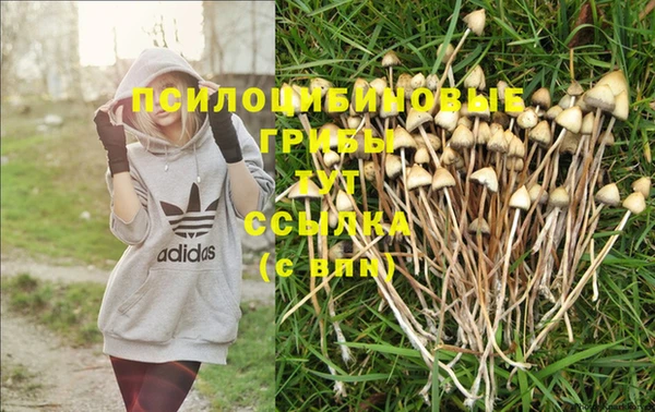 ECSTASY Снежногорск