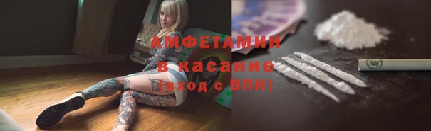 шишки Алексеевка