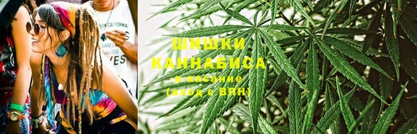 гашик Алзамай