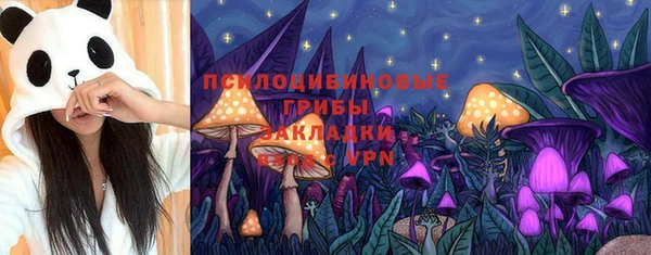 прущий лед Алексин