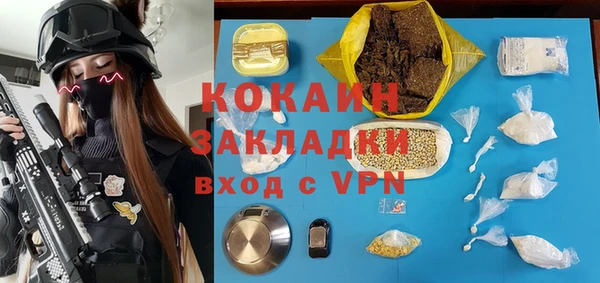 шишки Алексеевка