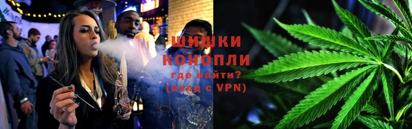шишки Алексеевка