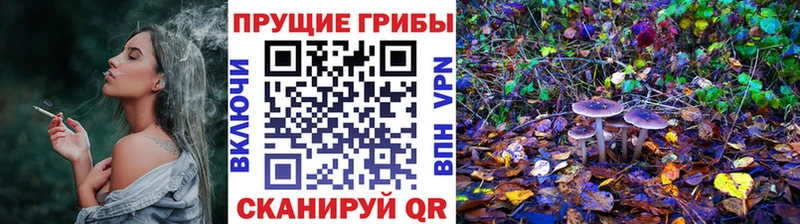 Галлюциногенные грибы Magic Shrooms Десногорск