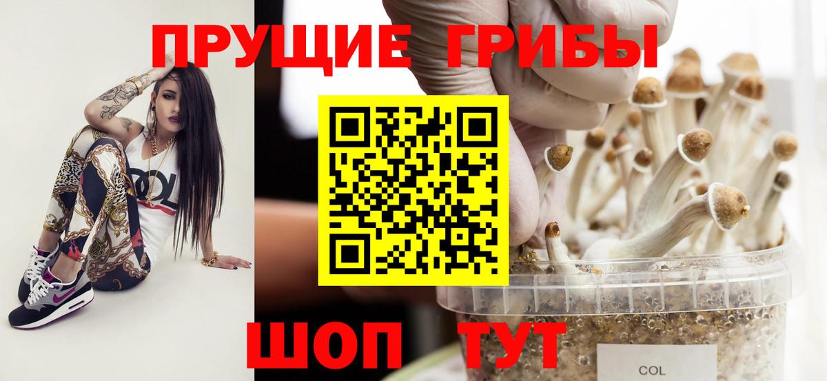 Галлюциногенные грибы GOLDEN TEACHER Десногорск